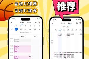 哪里可以找到专业的篮球训练助手?全方位指南与策略分析